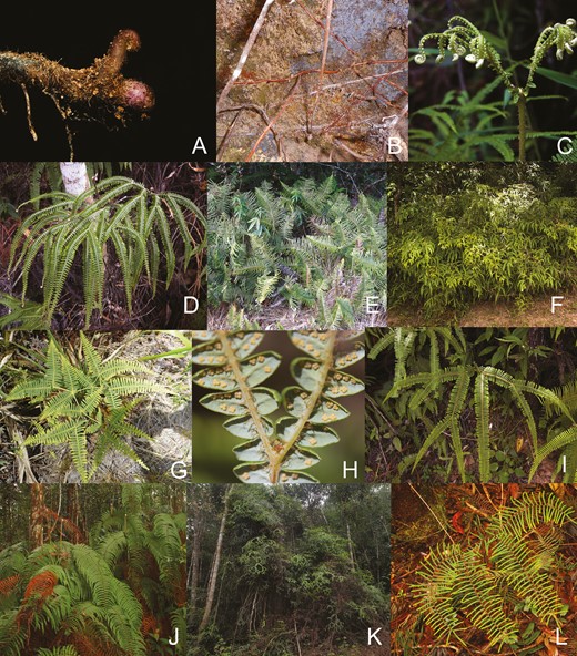 Image from article 2